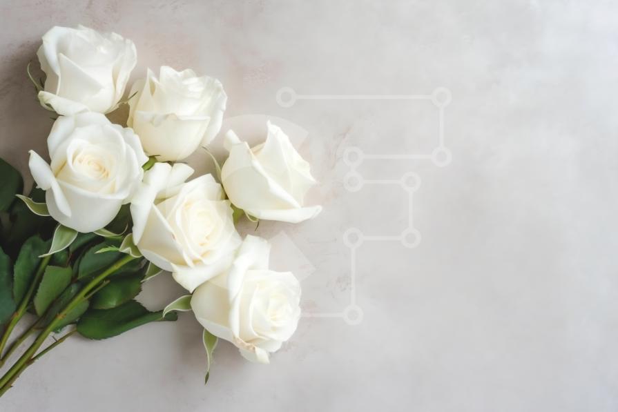 Beautiful Picture of White Roses in a Vase stock photo | Creative Fabrica