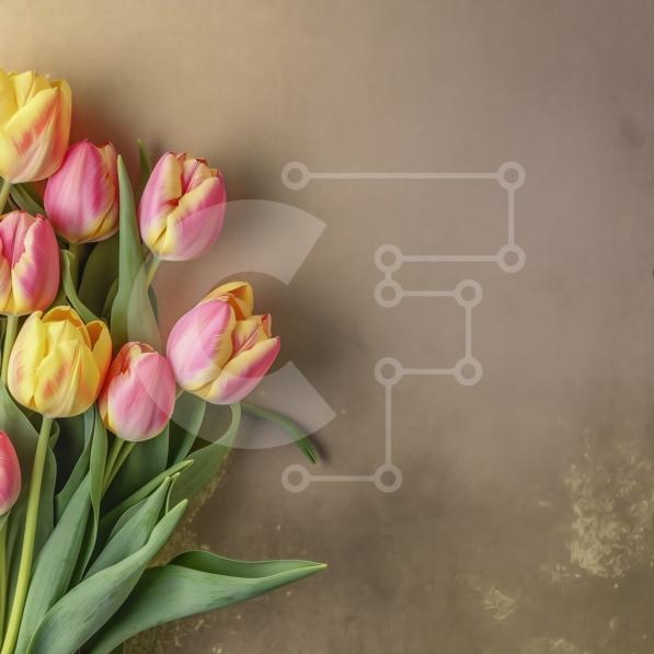 Bellissimo mazzo di tulipani rosa e gialli su sfondo beige foto stock