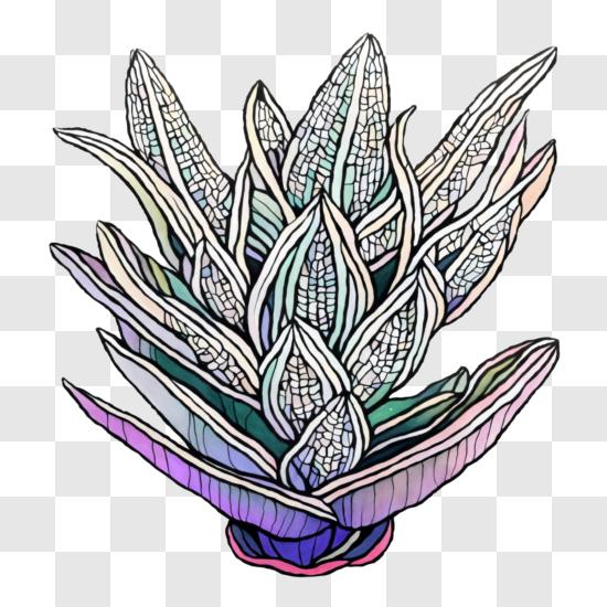 Illustrated Snake Plant by Jocelyn Wright Powell on Dribbble