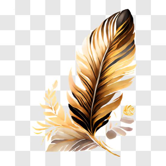 Golden Feather PNG Transparent Images Free Download, Vector Files