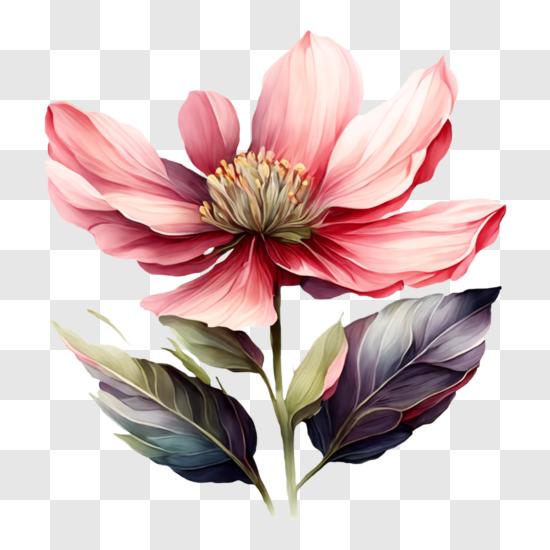 Flower Stem PNG - Download Free & Premium Transparent Flower Stem