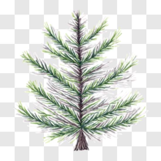 Scarica Bellissimo albero di pino verde con aghi PNG Online - Creative  Fabrica