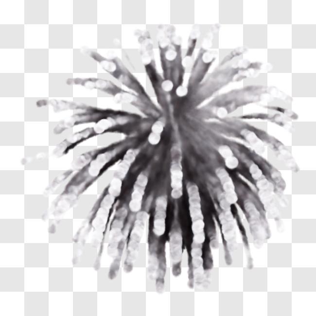 Desenho de fogos de artifício Preto e branco, fogos de artifício, branco,  folha png