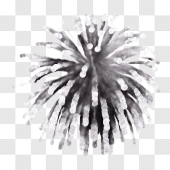 Firework design on white background  Fogos de artifício, Fundos branco,  Cartões em branco