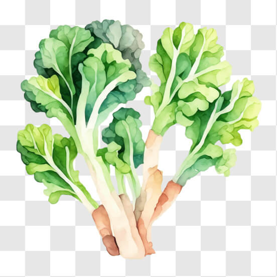 Vegetable drawing isolated 22419744 Vector Art at Vecteezy