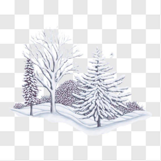 Snow Cover PNG Clipart​  Gallery Yopriceville - High-Quality Free
