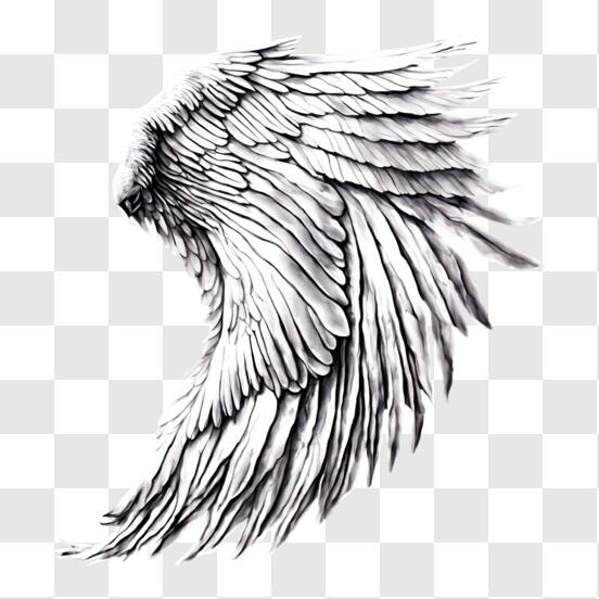 Black and White Angel Wing Decorative Image Patterns Black and White Angel Wing Decorative Image Patterns thumbnail