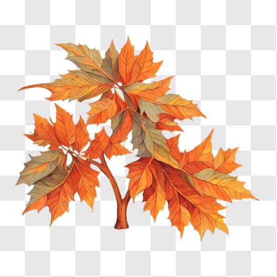 Download Watercolor Fall Leaf Decoration PNG Online - Creative Fabrica
