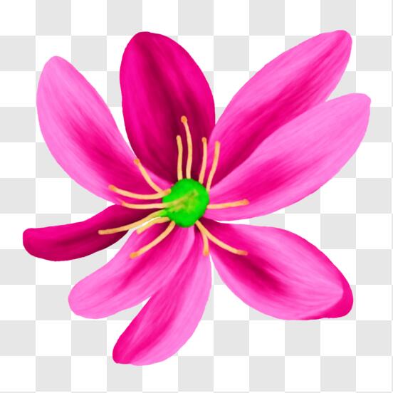 Download Beautiful Pink Flower with Green Leaves PNG Online