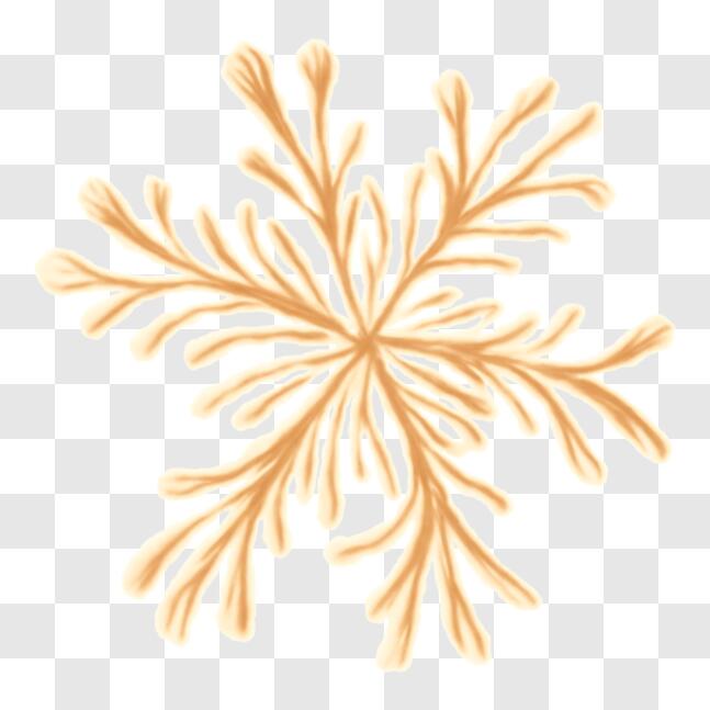 Download Orange and White Snowflake Design PNG Online - Creative Fabrica