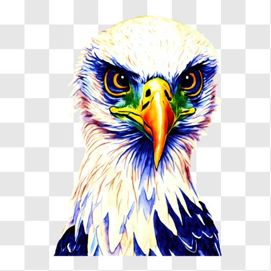 Colorful eagle Head Logo pop art style, eagle face Sticker, pastel cute  colors, AI generated. 24553789 PNG