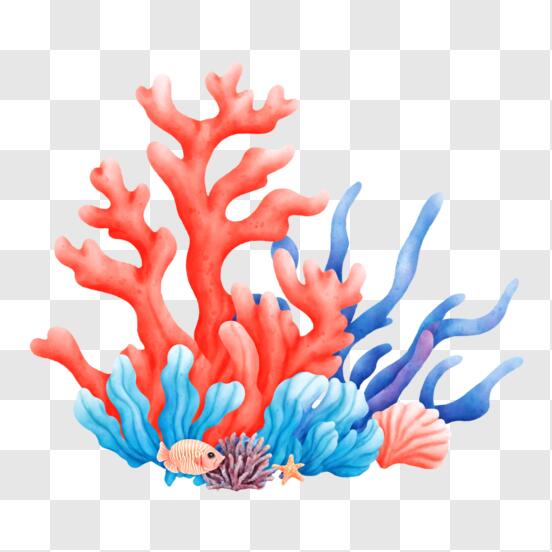 Les récifs coralliens - La peinture magique - Livres de coloriage