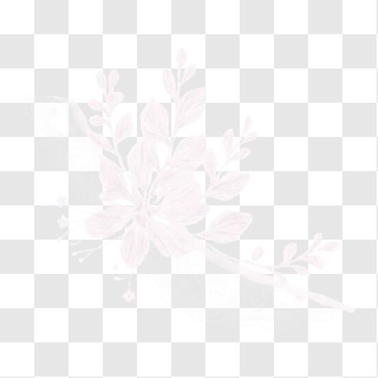 Borda Renda Branca PNG Imagens com fundo transparente
