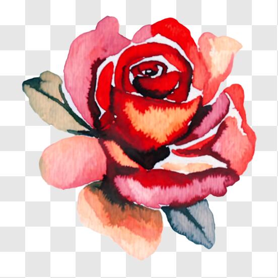 Toalla de Cara Flor pimienta Rosa
