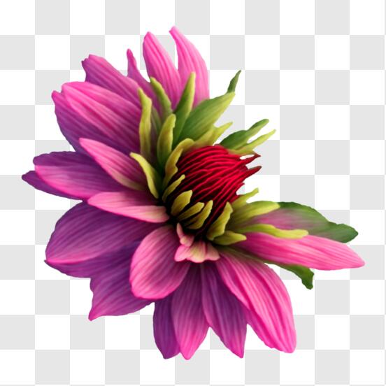 Download Beautiful Pink Flower with Green Leaves PNG Online
