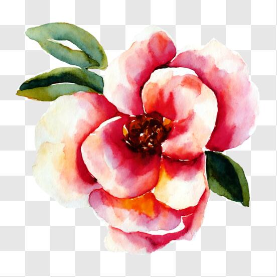 Toalla de Cara Flor pimienta Rosa