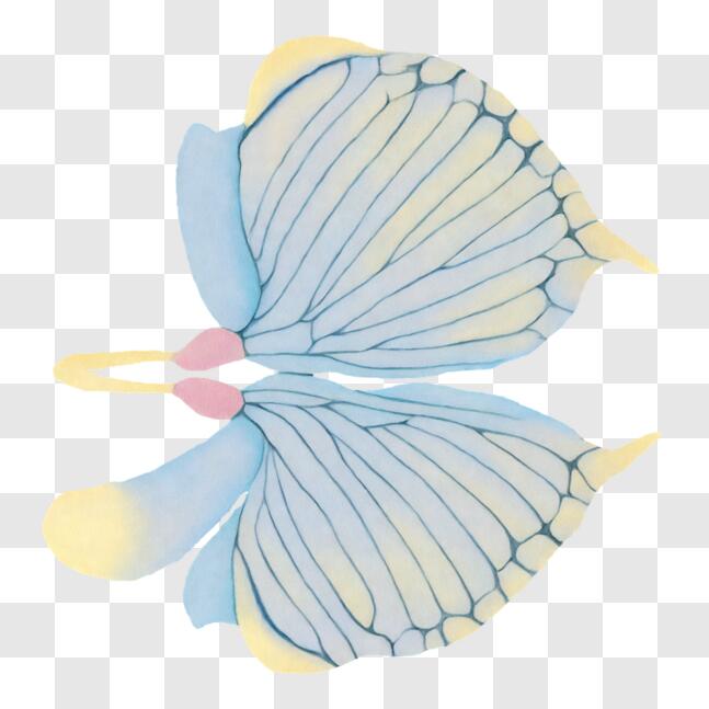 Scarica Ali di farfalla blu e gialla - Tagliate a metà PNG Online -  Creative Fabrica