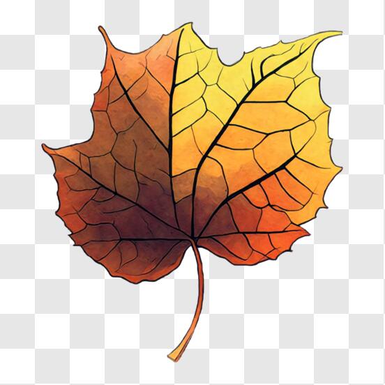 Download Autumn Maple Leaf on Black Background PNG Online - Creative Fabrica