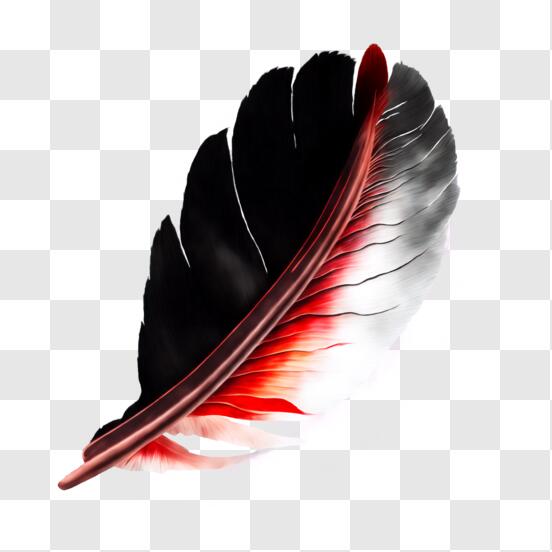 Inkwell with a Red Bird Feather Clipart Graphic by Venime · Creative Fabrica