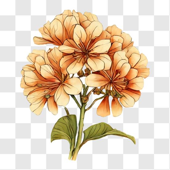 Download Vibrant Orange Flower Bouquet Drawing on Black Paper PNG