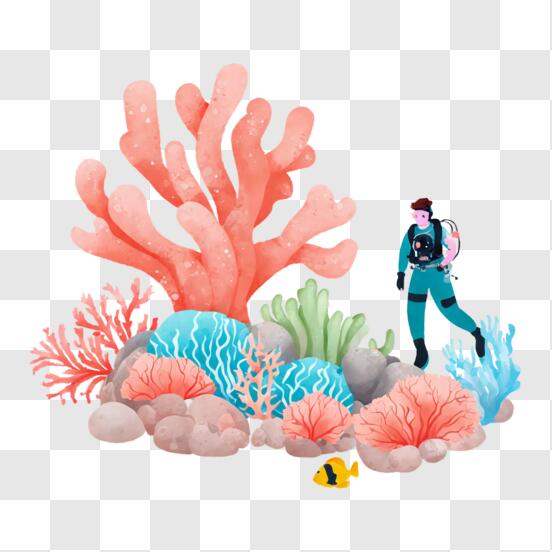 Les récifs coralliens - La peinture magique - Livres de coloriage