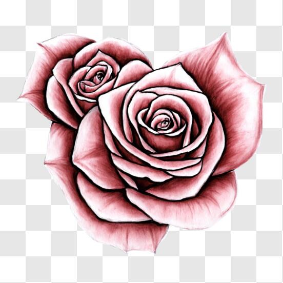 Download Stylish Rose Tattoo Design PNG Online - Creative Fabrica