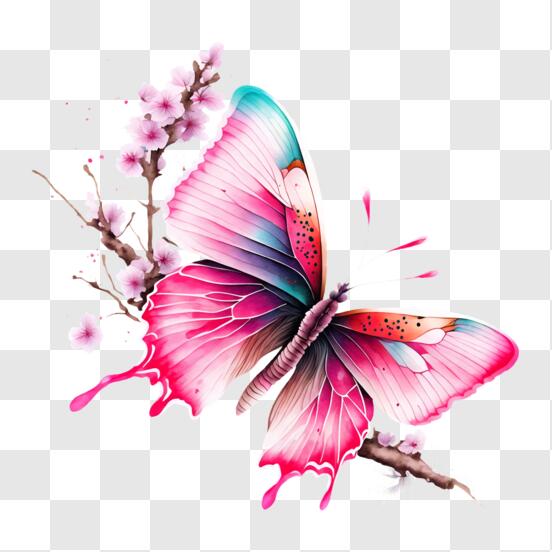 Télécharger Beau papillon sur les fleurs de cerisier roses PNG En