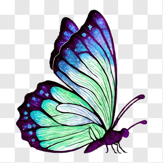 Scarica Farfalla colorata - Bellezza della natura PNG Online