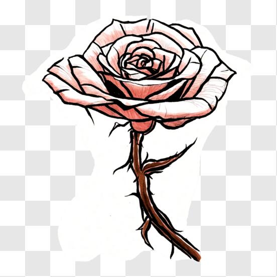 Download Pink Rose Tattoo Design on Black Background PNG Online - Creative  Fabrica