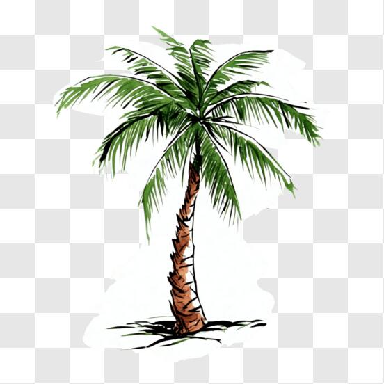 Palm Tree Dotted Drawing PNG Transparent SVG Vector
