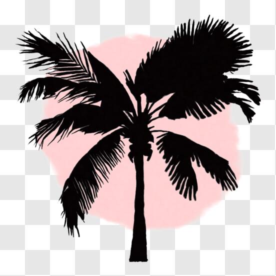 PALM TREE SILHOUETTES (Decals) Palm Trees, Giant Palm Tree Silhouettes..