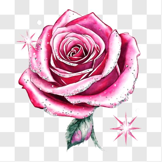 Download Sparkling Pink Rose Decor PNG Online - Creative Fabrica