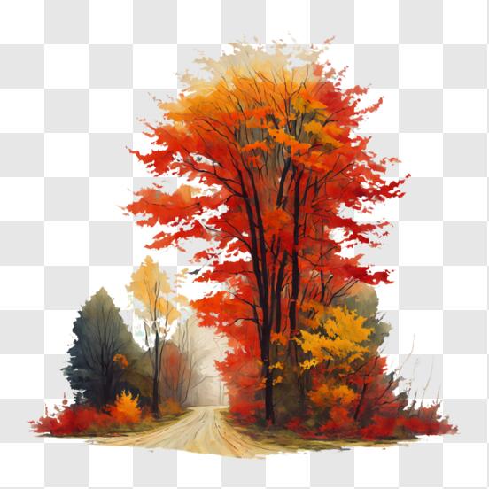 Download Vibrant Autumn Leaves in Different Stages of Decay PNG Online ...