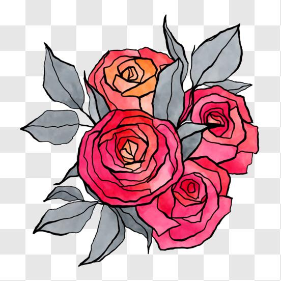 ancla con bocetos de rosas