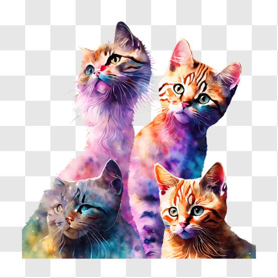1,000+ Free Colorful Cat & Cat Images