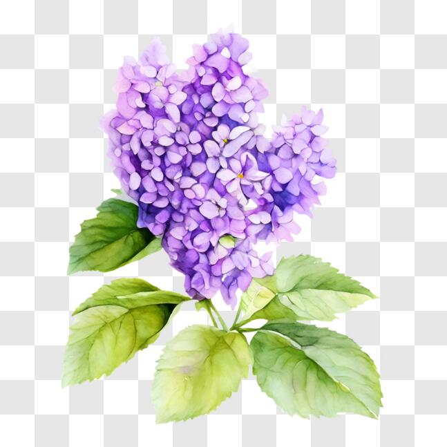 Download Watercolor Painting of Purple Lilac Flowers with Green Leaves ...