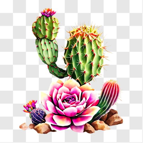 Vinho Tinta  Kit de pintura Cactus
