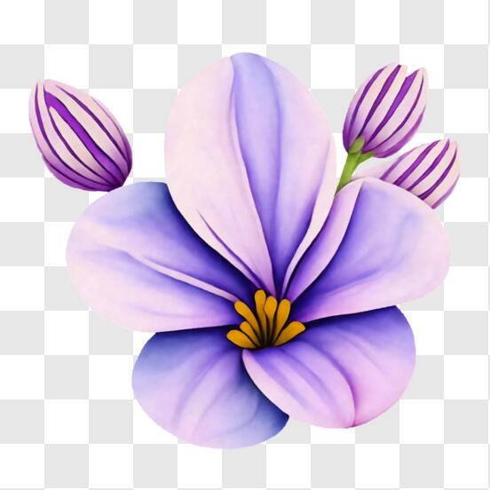 Purple Flower Transparent - Beautiful and Aesthetic