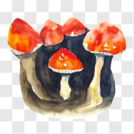 13 ideias de Cogumelo  cogumelos, desenho cogumelo, ideias para pintura