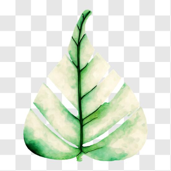 Baixe Pintura de Sapo Vibrante em Folhas Verdes PNG - Creative Fabrica