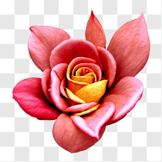Belle bordure de couleur rose effet crayon fleur de l'art le