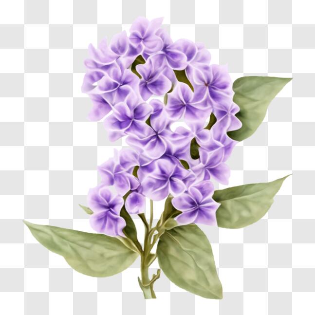 Download Beautiful Lilac Flower with Green Leaves PNG Online - Creative ...
