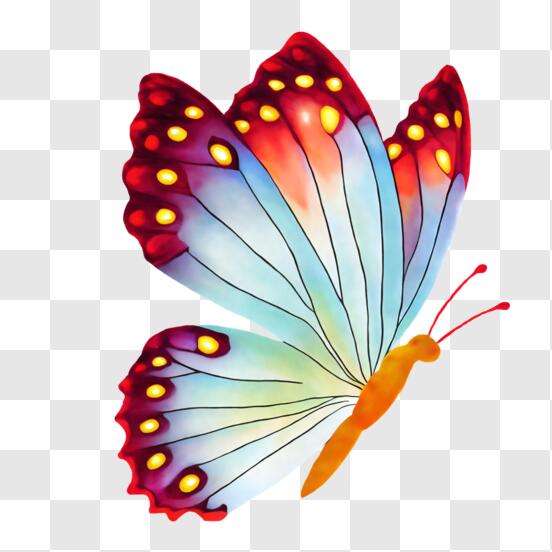 Descarga Mariposa colorida con alas vibrantes PNG En Línea - Creative  Fabrica