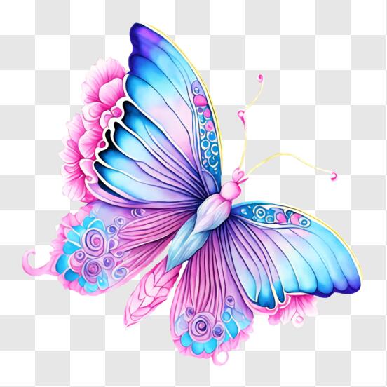 Scarica Farfalla blu e rosa decorativa con decorazioni floreali PNG Online  - Creative Fabrica