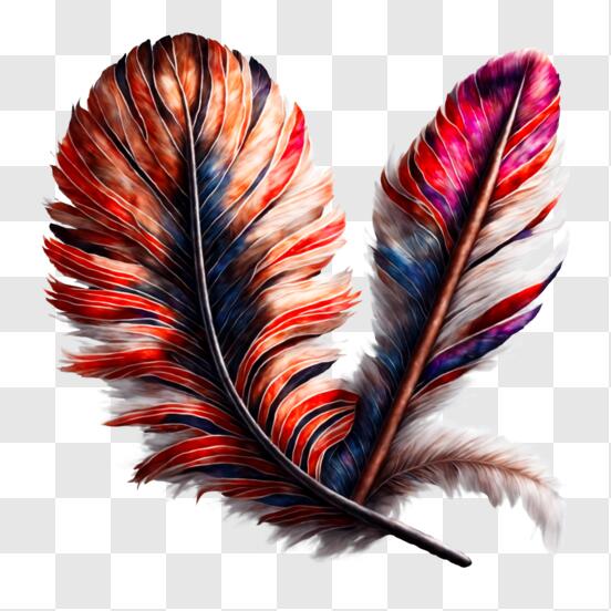 Turkey Feather Images – Browse 54,529 Stock Photos, Vectors, and Video