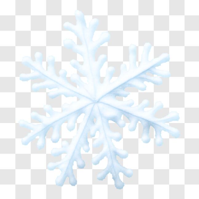Download Beautiful Snowflake PNG Online - Creative Fabrica