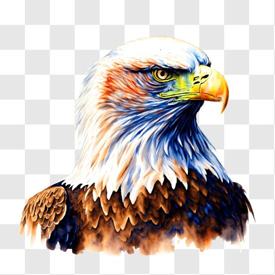 Descarga Obra de Arte de un Águila con Penacho Indio PNG En Línea -  Creative Fabrica