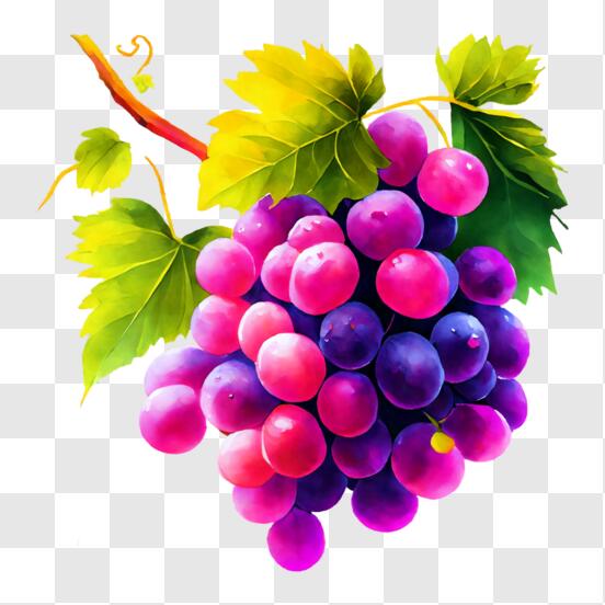purple grape png