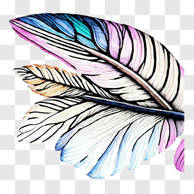 floating feathers clip art