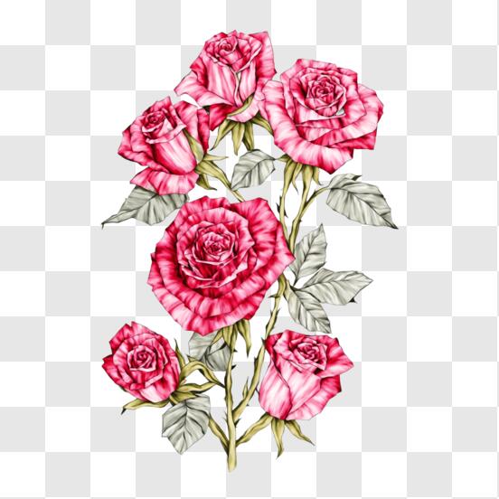 Rose Aroma Floor Cleaning Liquid, Pink Background, 3d Illustration